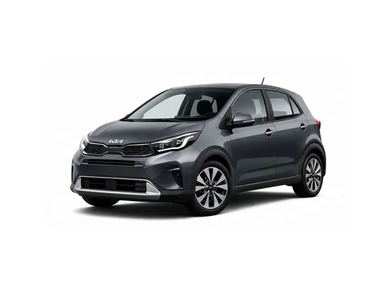 A gray Kia Picanto is offered for rental by the company Imperial Car Rental.