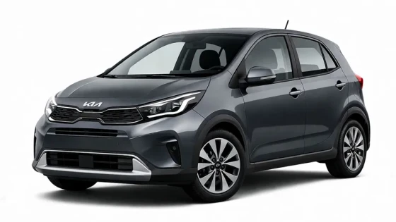Der graue Kia Picanto wird von der Firma Imperial Car Rental zur Vermietung angeboten.