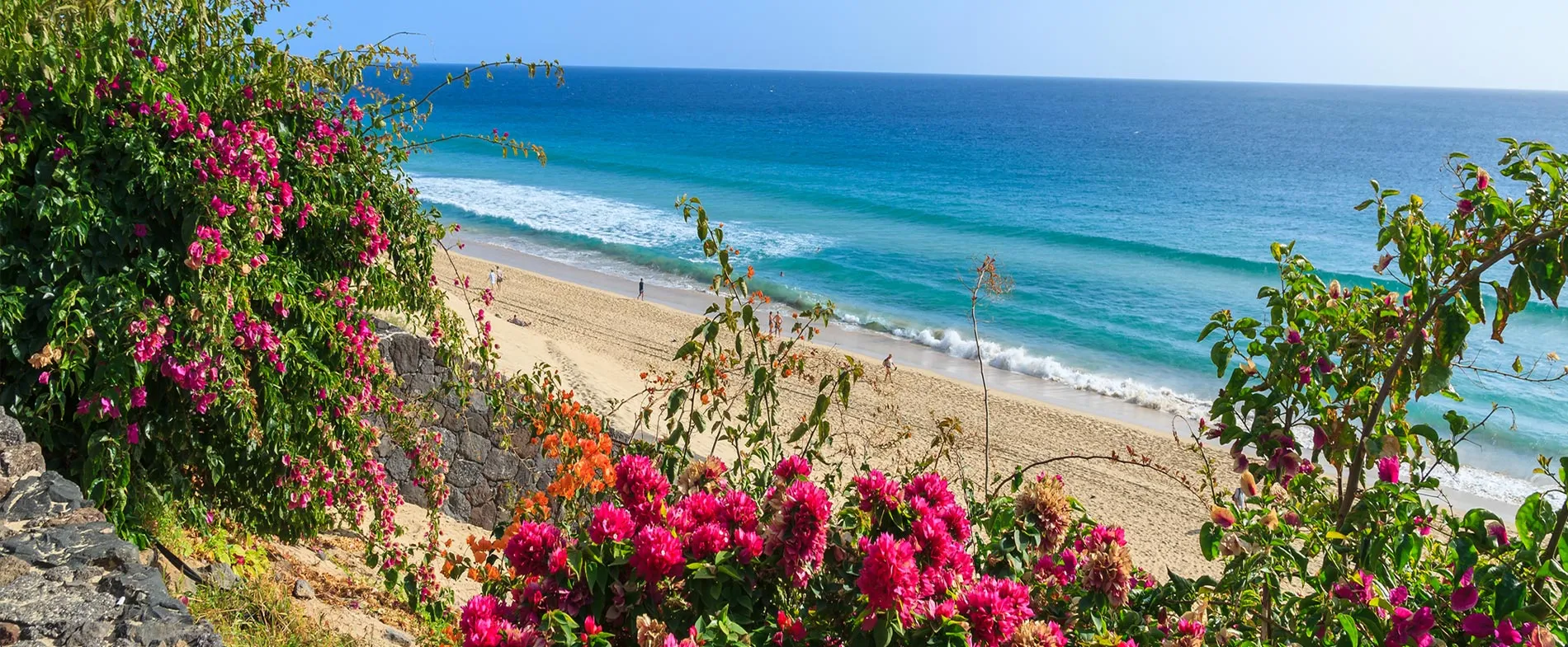 Sunny beach with turquoise ocean waves and vibrant pink flowers in the foreground and people walking on the sand.