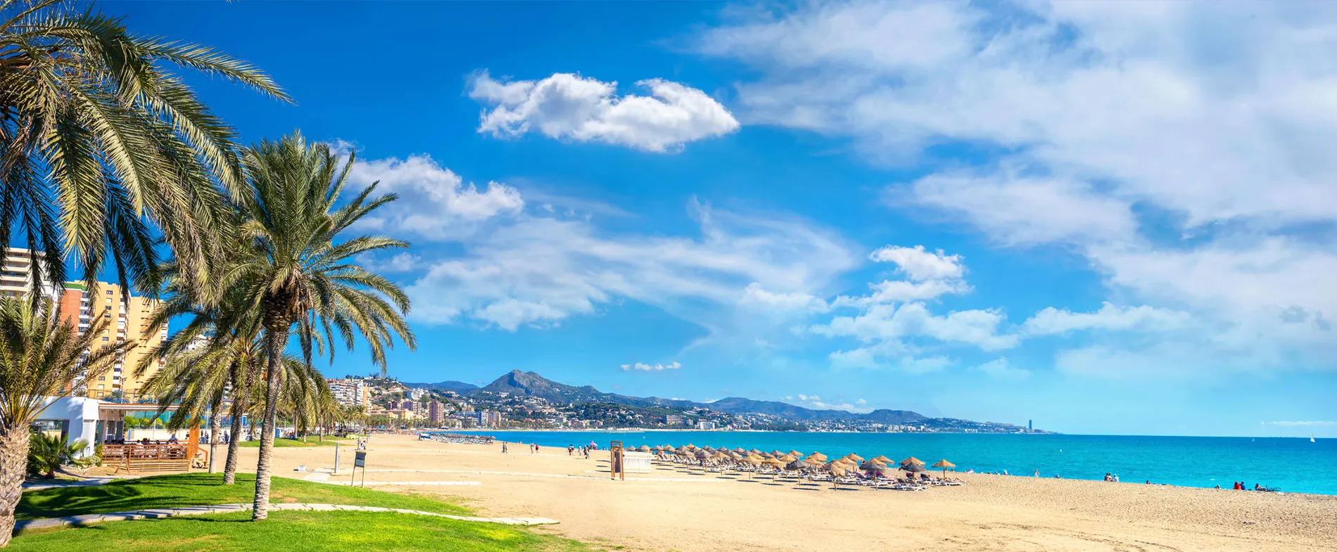 Plaja din Malaga cu palmieri și șezlonguri sub cer albastru și oraș îndepărtat în fundal.