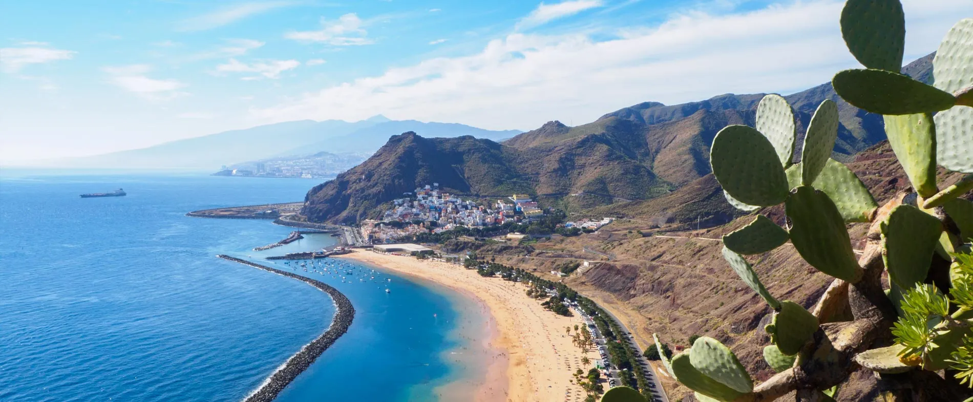 Tenerife beach and coastal mountains along the Atlantic Ocean with cactus plants in the foreground.