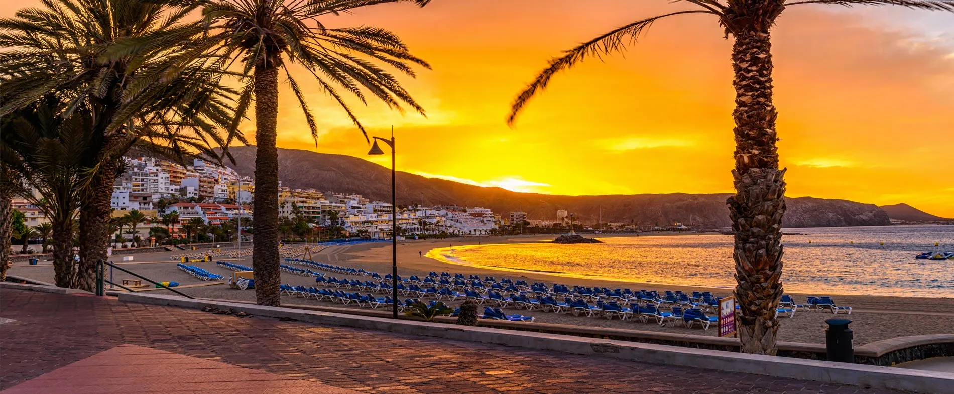 Tenerife beach at sunset with palm trees and empty lounge chairs along the shore.