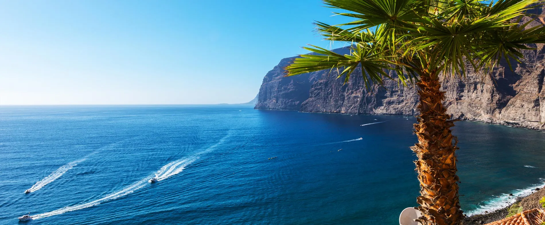 Coastline view of Los Gigantes cliffs in Tenerife with a palm tree and boats cruising on the ocean.