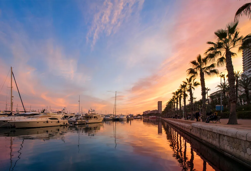 Marina din Alicante la apus cu iahturi ancorate și palmieri pe promenadă.
