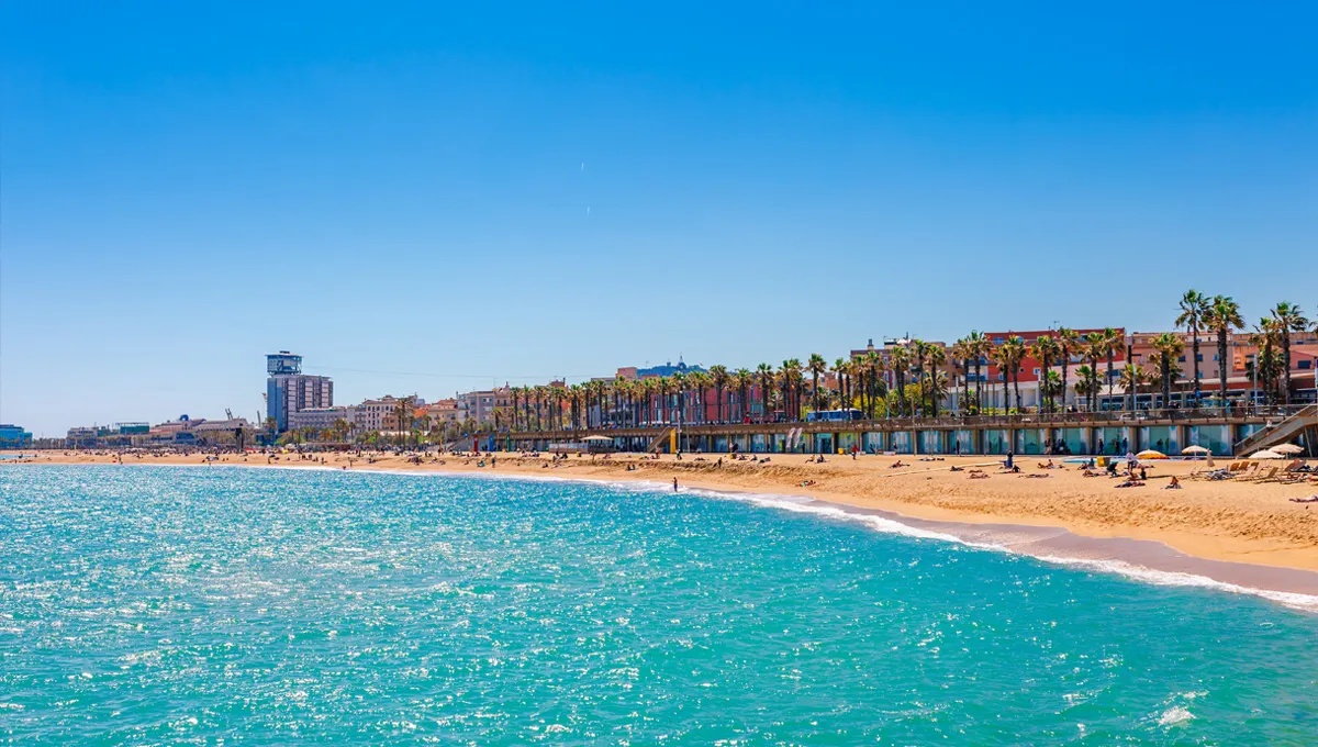 Plaja din Barcelona cu nisip auriu, apă turcoaz și palmieri de-a lungul țărmului într-o zi însorită.