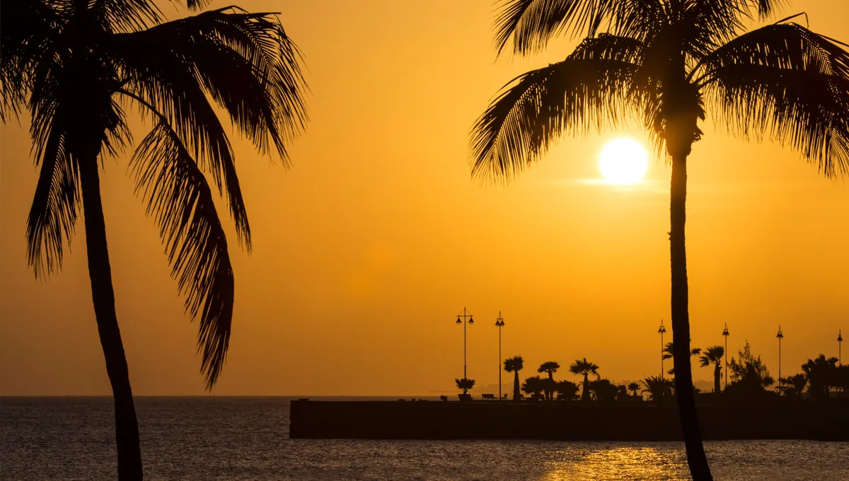 Apus pe o plajă tropicală cu palmieri și mare liniștit în ora de aur pentru o escapadă relaxantă.