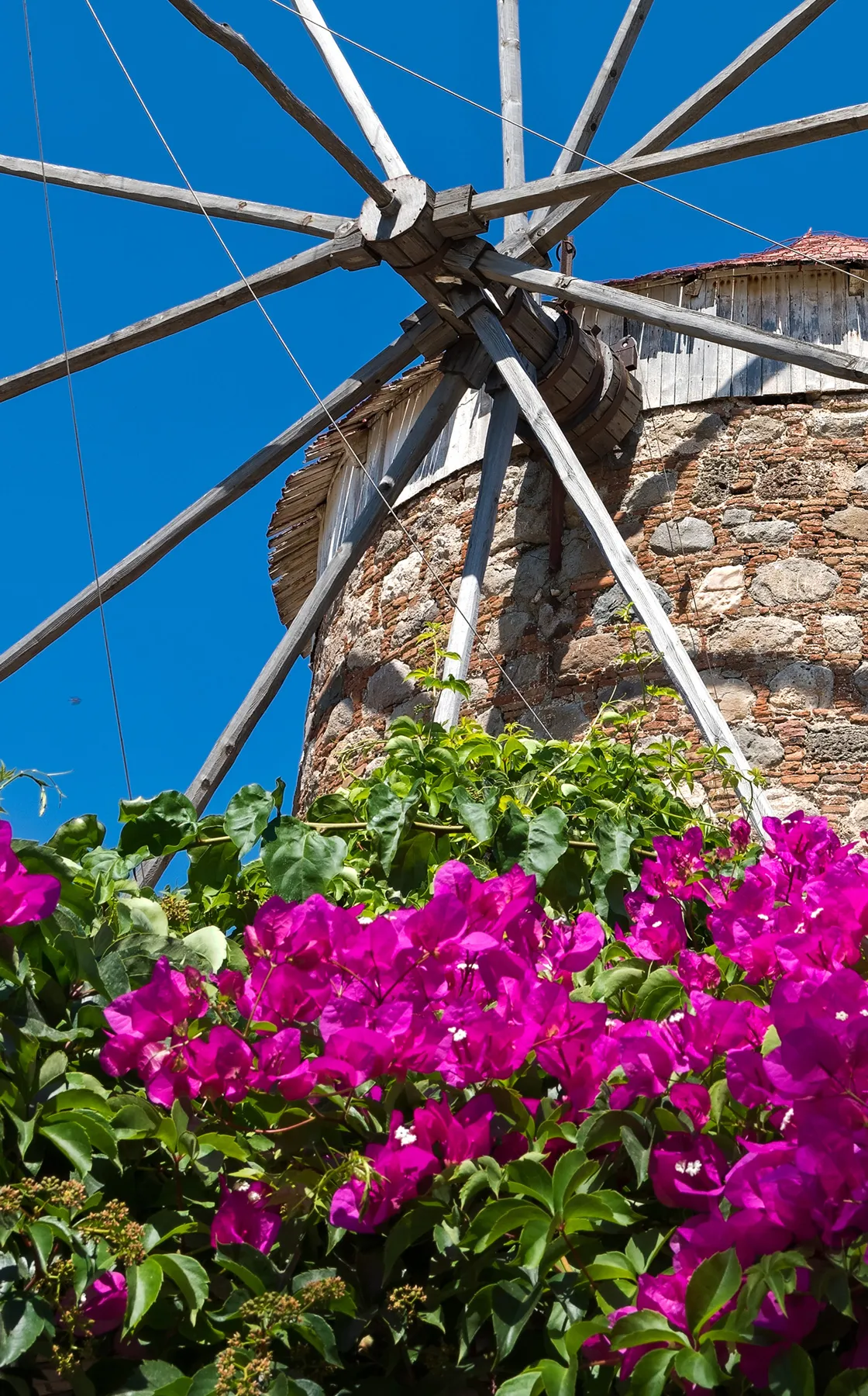 Traditional stone windmill with wooden blades and vibrant purple flowers under a clear blue sky.