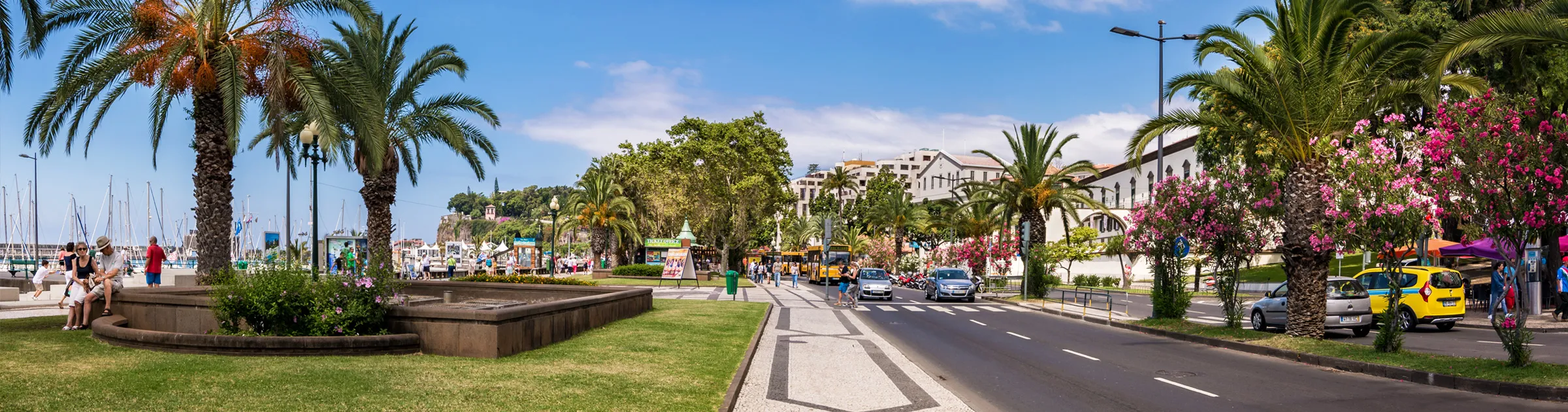 Margem de Madeira com palmeiras, carros estacionados e pessoas a caminhar perto do porto e do centro da cidade.