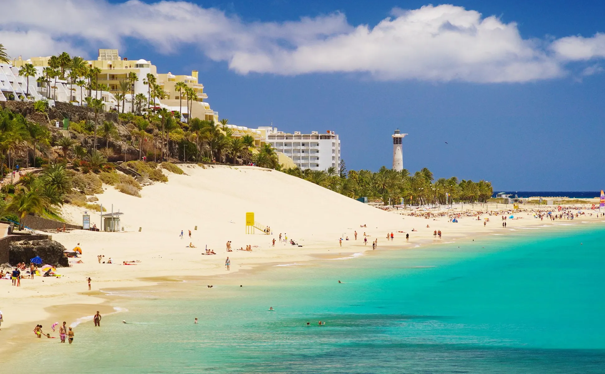 Fuerteventura beach with turquoise water, sandy shore, palm trees and people enjoying the sun and sea.