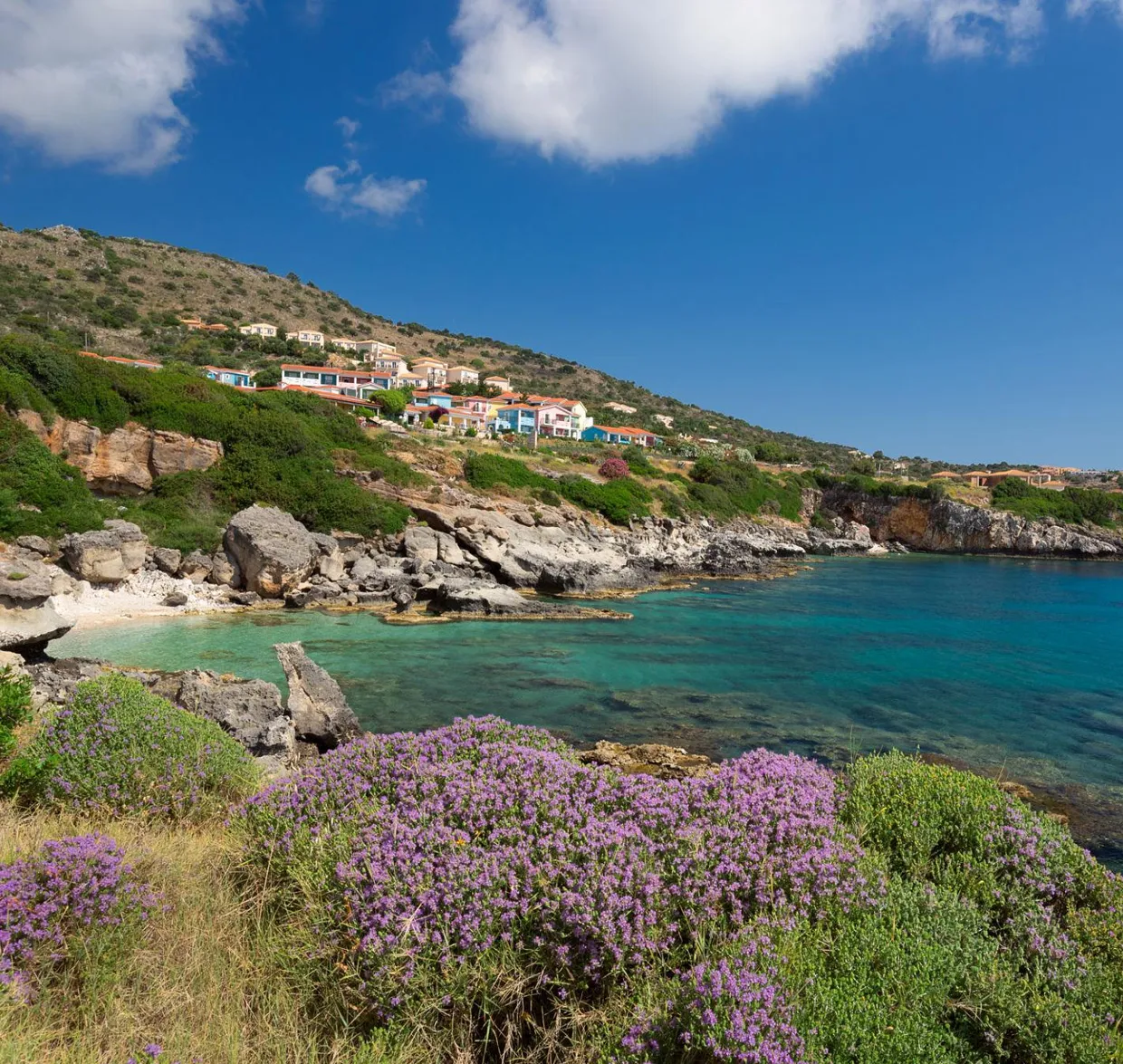Scenic coastal view with calm turquoise water, rocky shore, purple flowers, and houses on a hillside under blue sky.