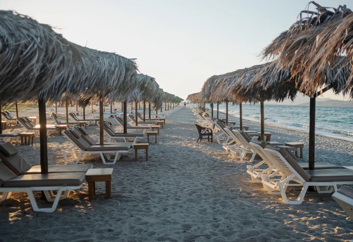 Sandy beach with rows of straw umbrellas and empty lounge chairs facing the sea.