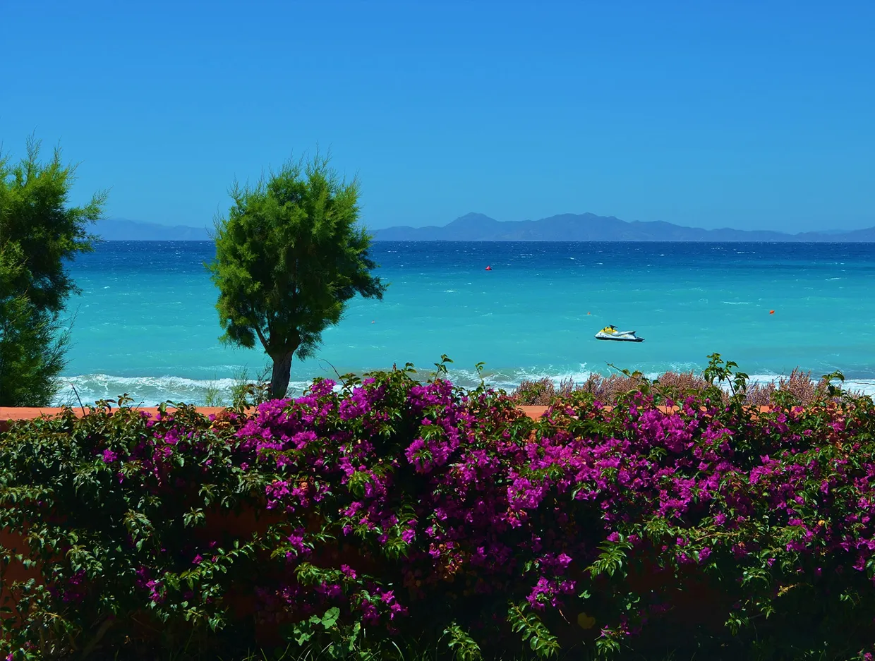 Seaside view with flowering bushes and a jet ski on clear blue water under a bright sky.