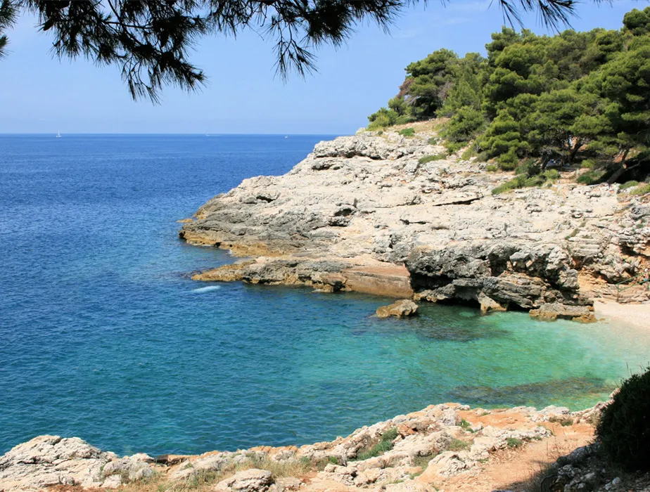 Rocky coastline with clear blue sea and pine trees under a sunny sky.